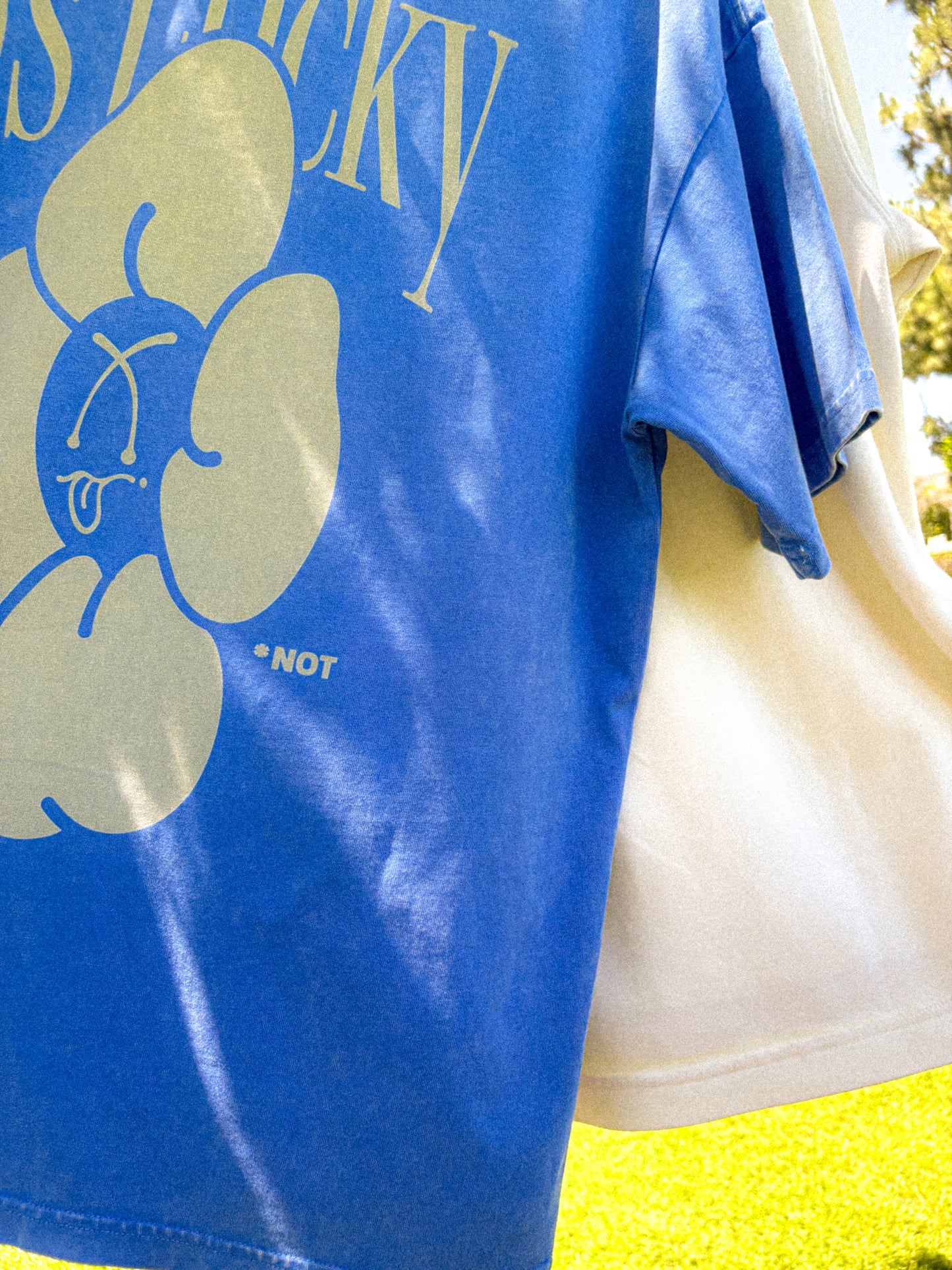 I'm*Doing OKAY Graphic T blue